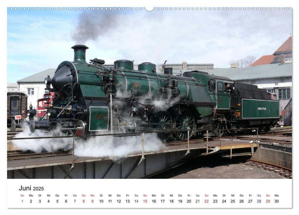 Feuer Wasser Kohle - Dampflokomotiven der Deutschen Reichsbahn (CALVENDO Premium Wandkalender 2025)