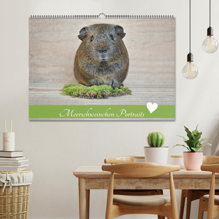 Meerschweinchen Portraits (CALVENDO Wandkalender 2025)