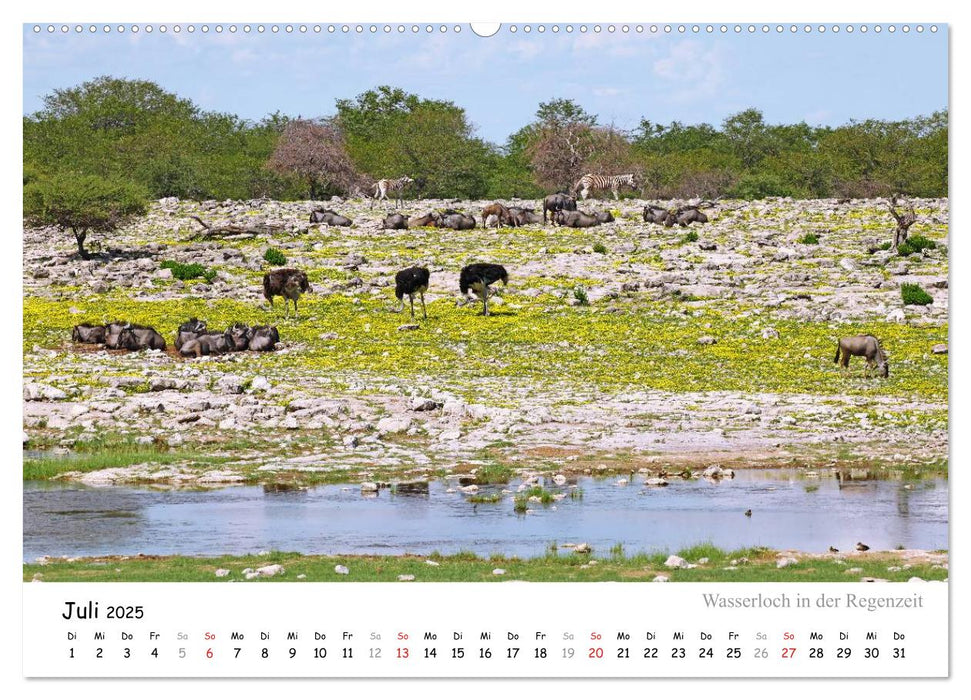 ETOSHA NATIONALPARK Traumziel in Namibia (CALVENDO Premium Wandkalender 2025)