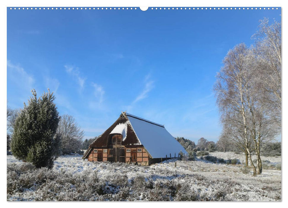 Lüneburger Heide - Faszinierend schön (CALVENDO Wandkalender 2025)