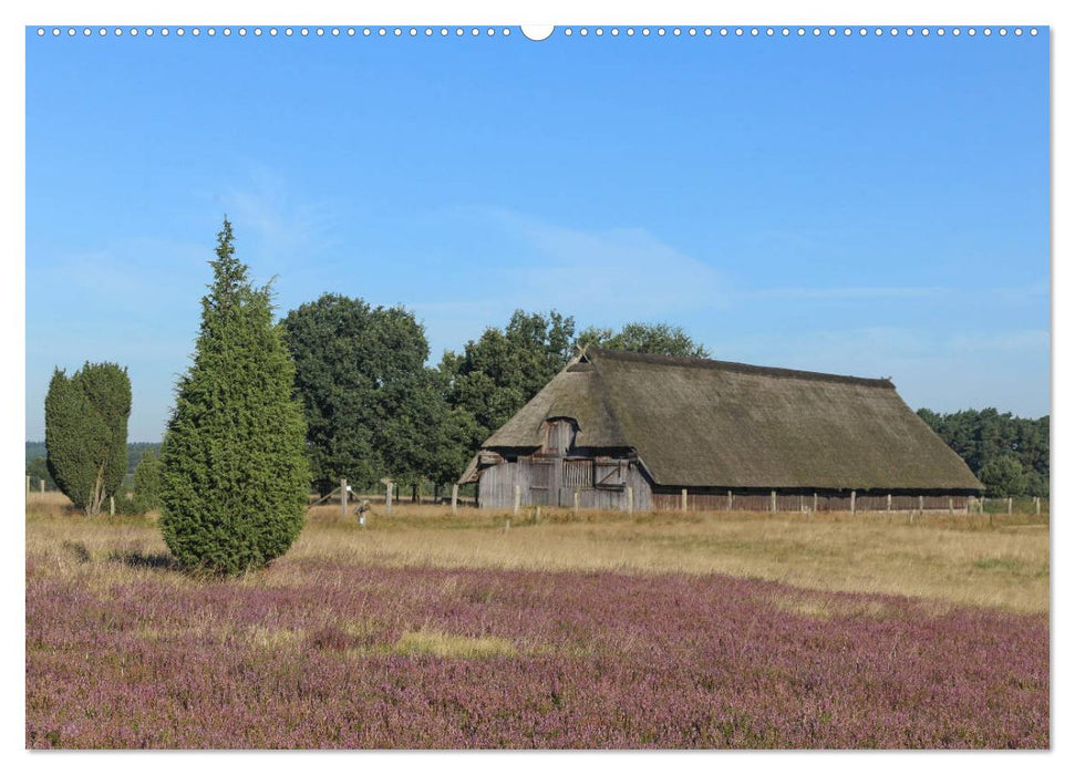 Lüneburger Heide - Faszinierend schön (CALVENDO Wandkalender 2025)