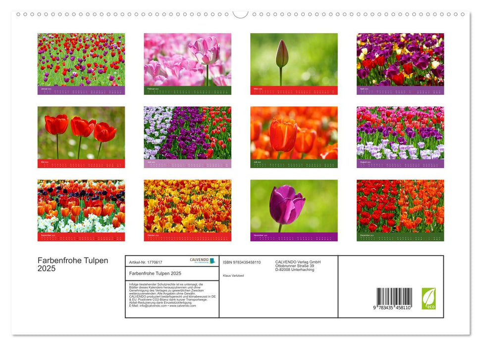 Farbenfrohe Tulpen 2025 (CALVENDO Premium Wandkalender 2025)