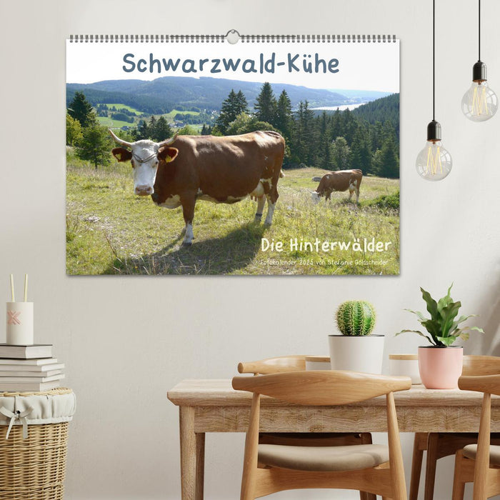 Schwarzwald-Kühe - Die Hinterwälder (CALVENDO Wandkalender 2025)