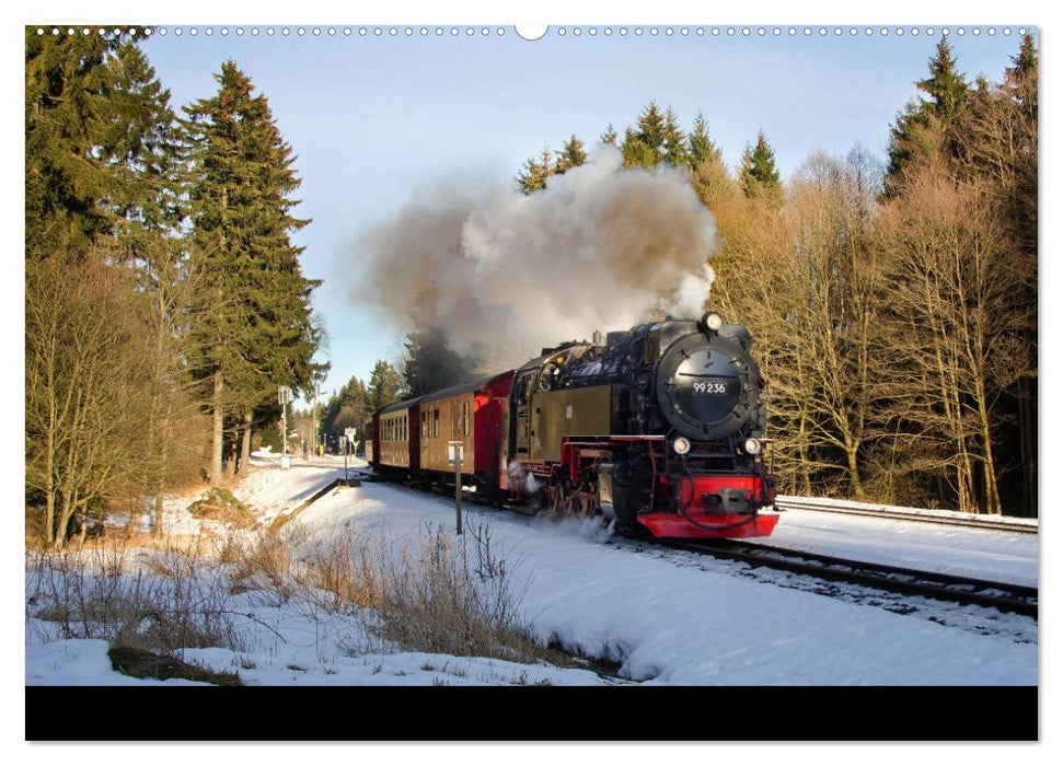 Unter Dampf in Sachsen Anhalt 2.0 (CALVENDO Premium Wandkalender 2025)