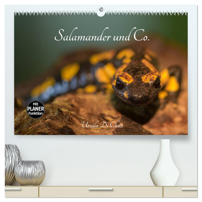 Salamander und Co. (CALVENDO Premium Wandkalender 2025)