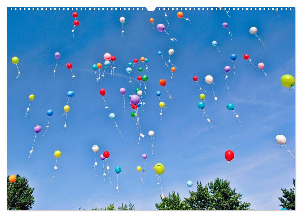 Mein schöner bunter Luftballon (CALVENDO Premium Wandkalender 2025)