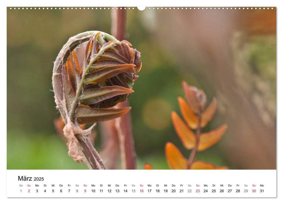 Paradies Naturgarten (CALVENDO Premium Wandkalender 2025)