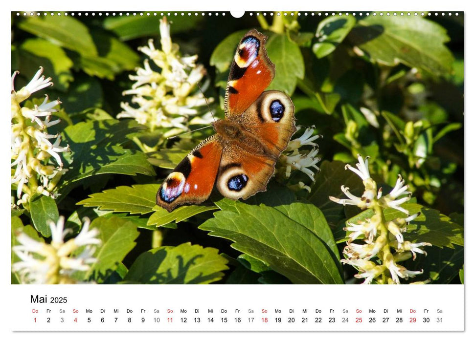 Paradies Naturgarten (CALVENDO Premium Wandkalender 2025)