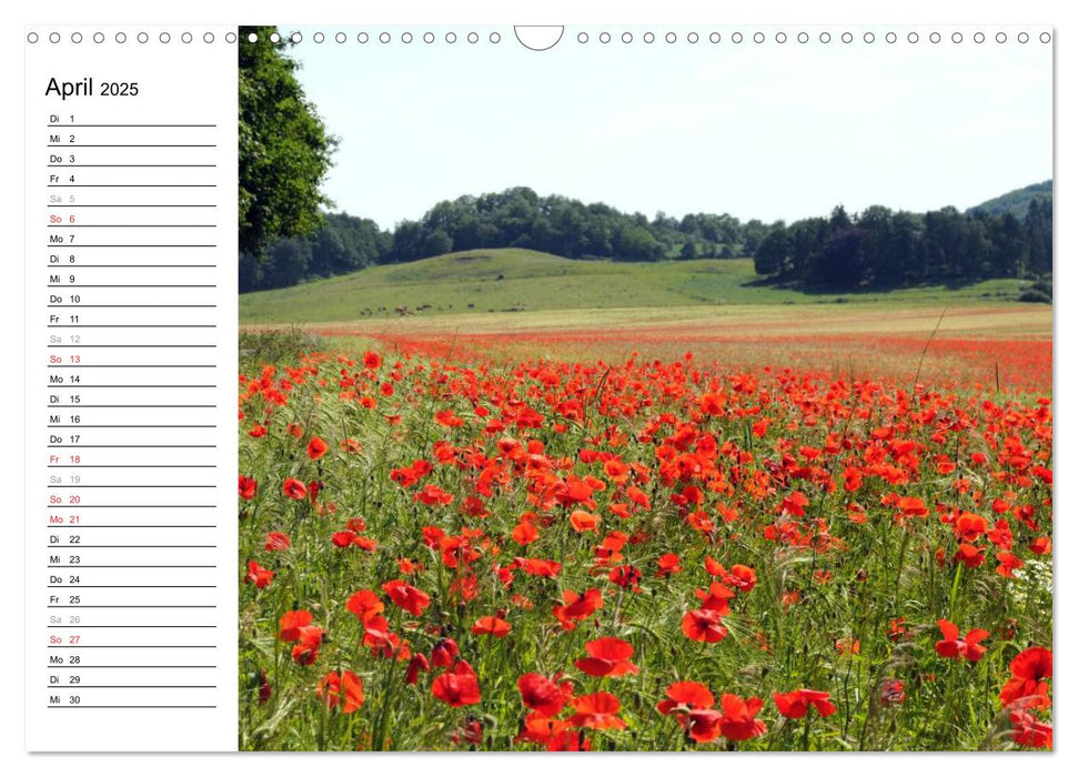 Naturlandschaft Laacher See (CALVENDO Wandkalender 2025)