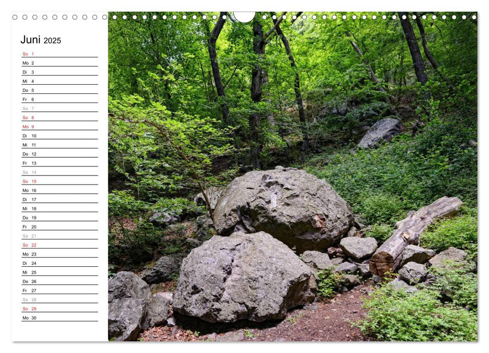 Naturlandschaft Laacher See (CALVENDO Wandkalender 2025)