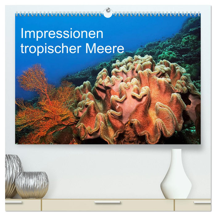 Impressionen tropischer Meere (CALVENDO Premium Wandkalender 2025)