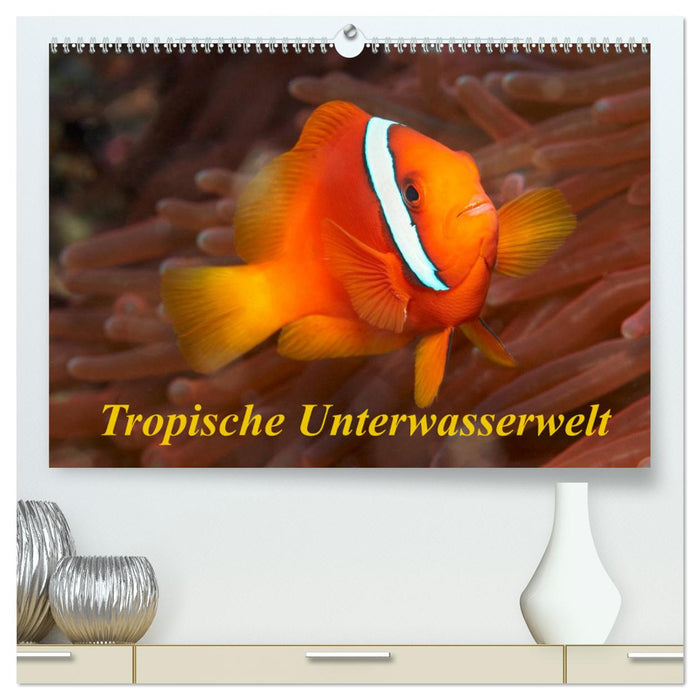 Tropische Unterwasserwelt (CALVENDO Premium Wandkalender 2025)