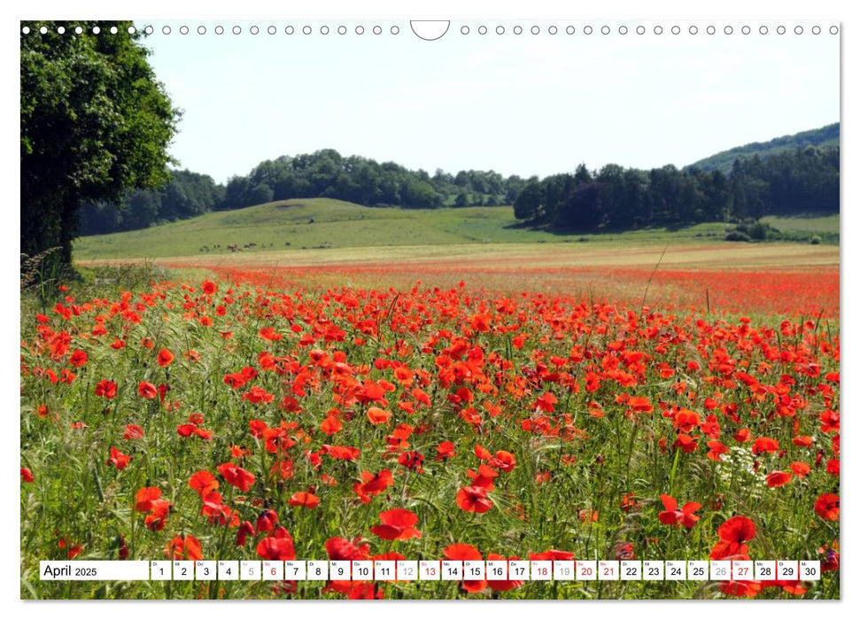 Naturlandschaft Laacher See (CALVENDO Wandkalender 2025)