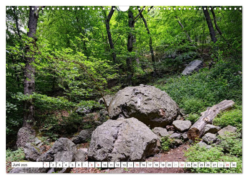 Naturlandschaft Laacher See (CALVENDO Wandkalender 2025)