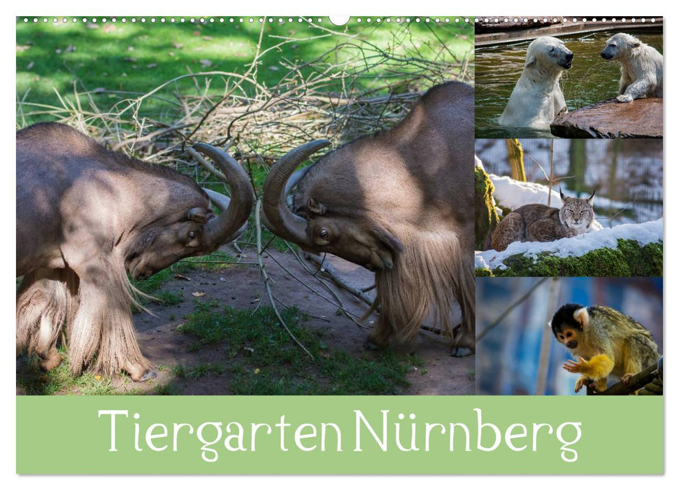 Tiergarten Nürnberg (CALVENDO Wandkalender 2025)