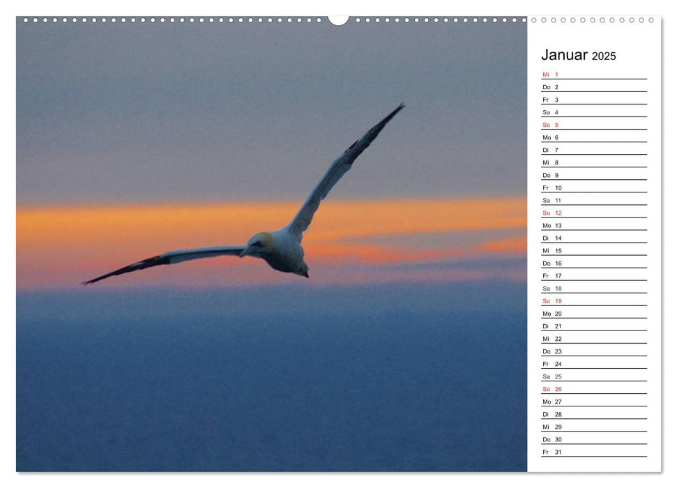 Abend in Helgoland (CALVENDO Wandkalender 2025)