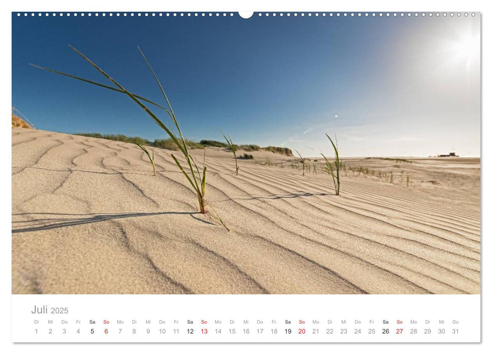 St. Peter-Ording. Deutschlands größte Sandkiste (CALVENDO Premium Wandkalender 2025)