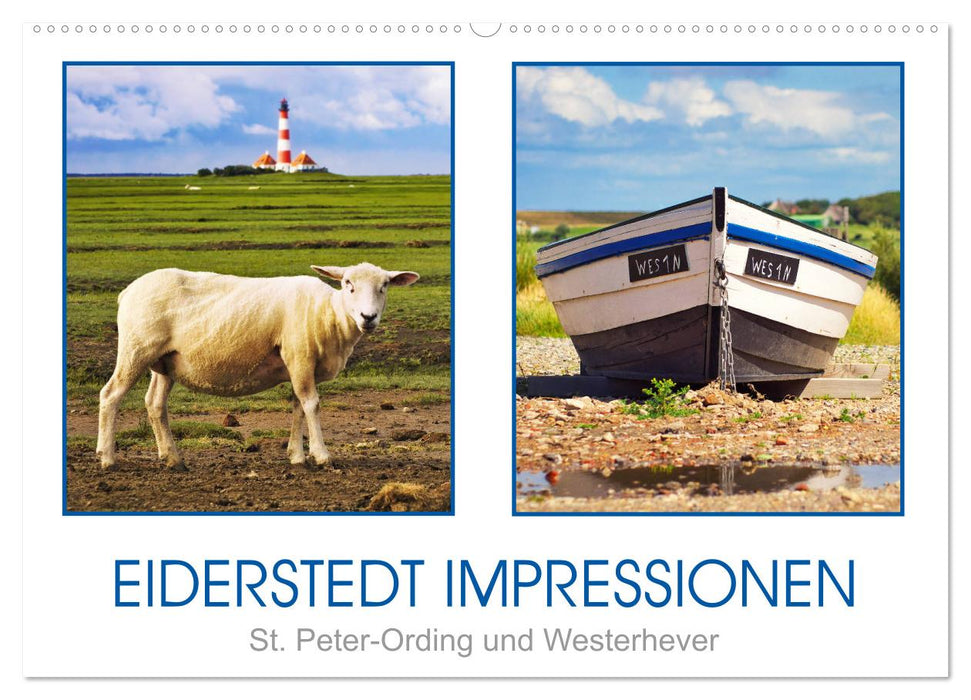 Eiderstedt Impressionen (CALVENDO Wandkalender 2025)