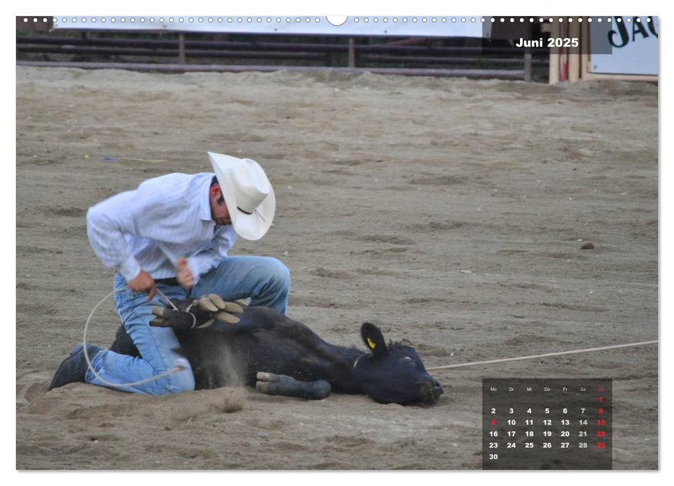 Faszination Rodeo (CALVENDO Wandkalender 2025)