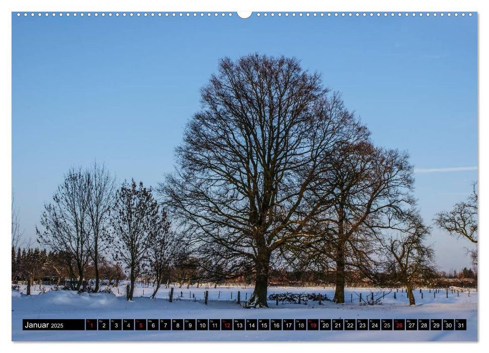 Malerischer Niederrhein (CALVENDO Premium Wandkalender 2025)