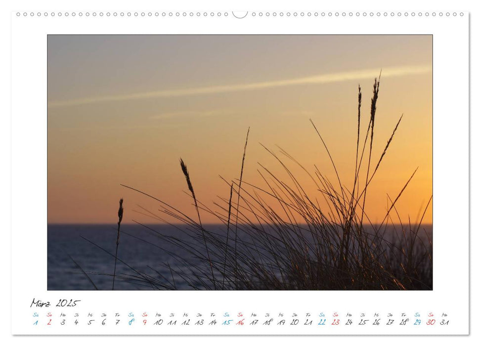 Amrum - Farben einer Insel (CALVENDO Wandkalender 2025)