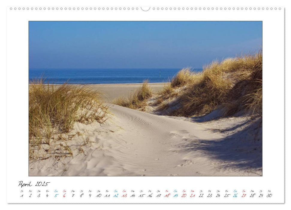 Amrum - Farben einer Insel (CALVENDO Wandkalender 2025)