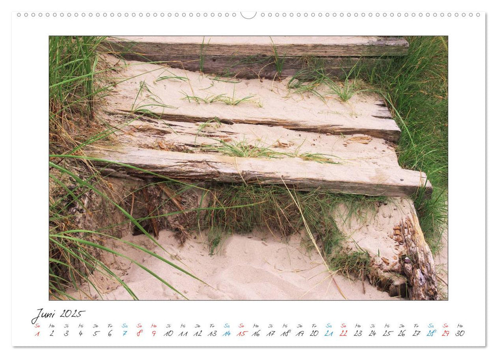 Amrum - Farben einer Insel (CALVENDO Wandkalender 2025)