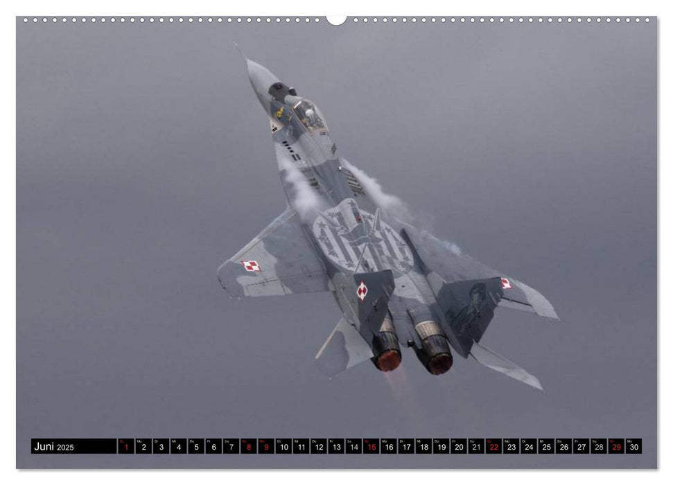 Augenblicke in der Luft: MiG-29 Fulcrum (CALVENDO Premium Wandkalender 2025)