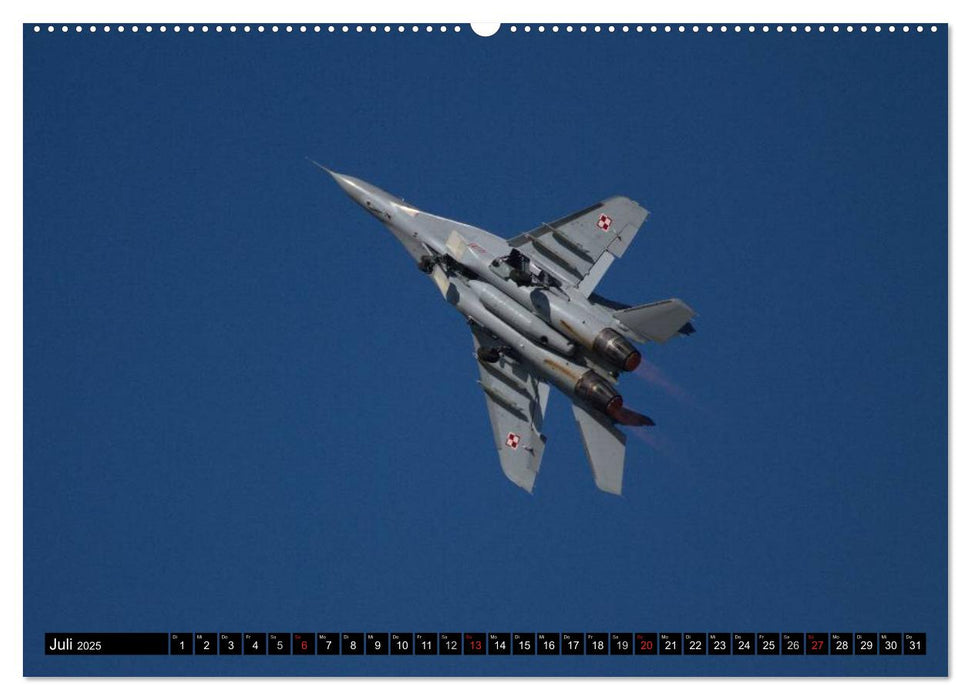 Augenblicke in der Luft: MiG-29 Fulcrum (CALVENDO Premium Wandkalender 2025)