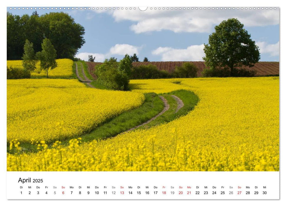 Wege durchs neue Jahr (CALVENDO Premium Wandkalender 2025)