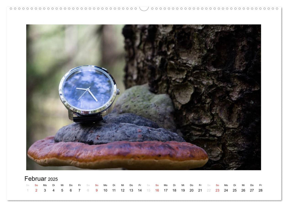 Uhren aus aller Welt (CALVENDO Premium Wandkalender 2025)