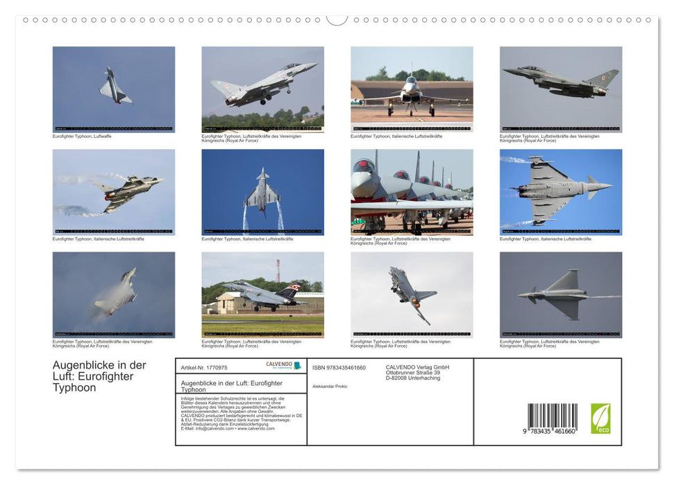 Augenblicke in der Luft: Eurofighter Typhoon (CALVENDO Premium Wandkalender 2025)