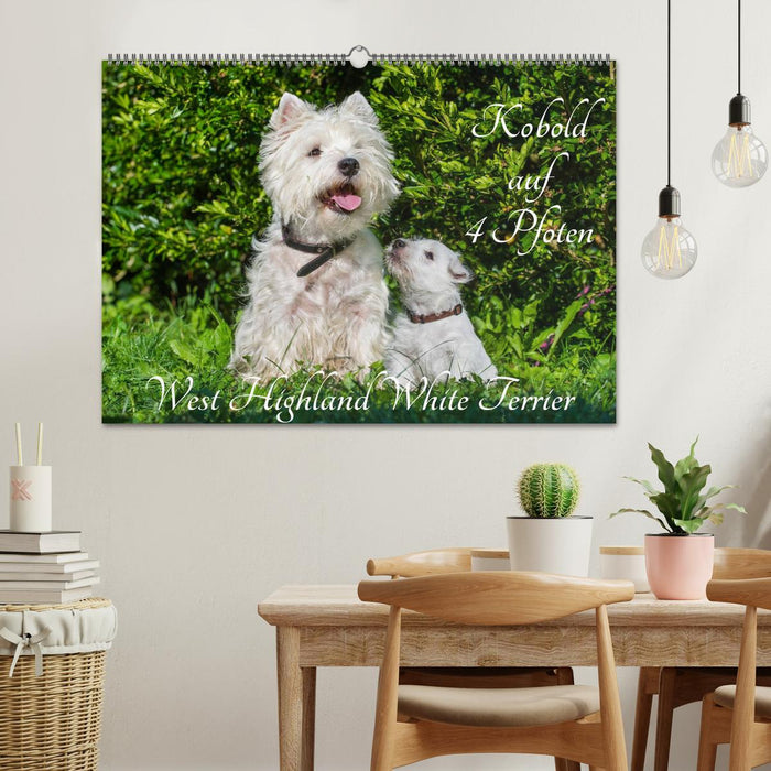 Kobold auf 4 Pfoten - West Highland White Terrier (CALVENDO Wandkalender 2025)