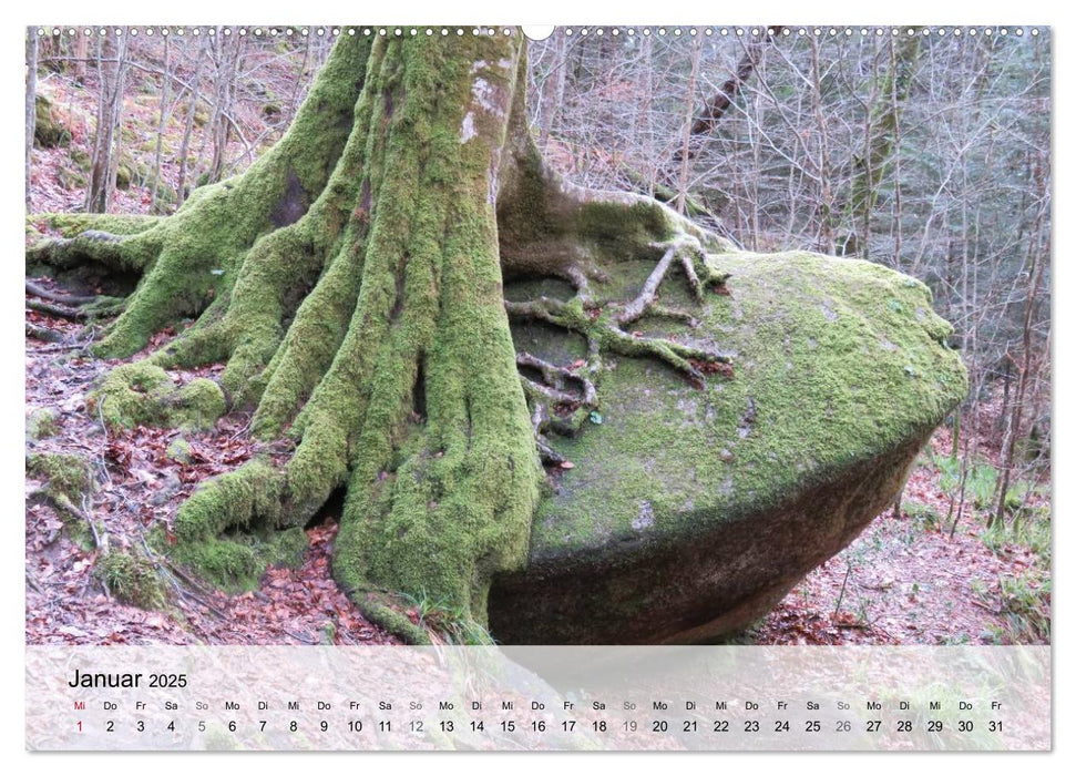 Bretagne - Wildnis Finistère (CALVENDO Wandkalender 2025)