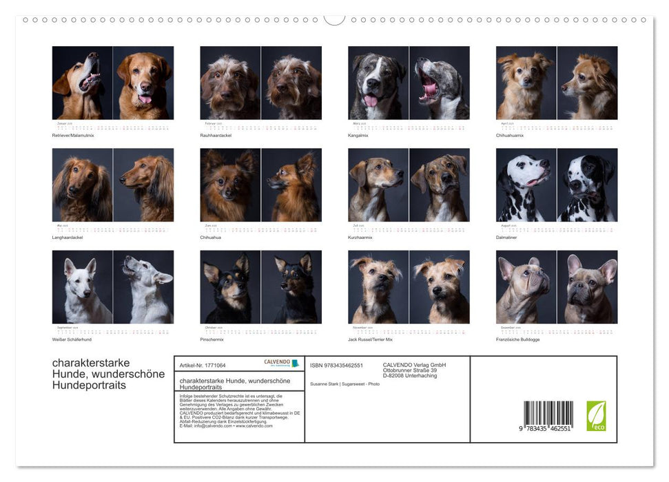 charakterstarke Hunde, wunderschöne Hundeportraits (CALVENDO Premium Wandkalender 2025)