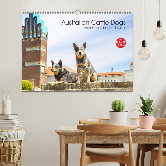 Australian Cattle Dogs zwischen Kunst und Kultur (CALVENDO Wandkalender 2025)