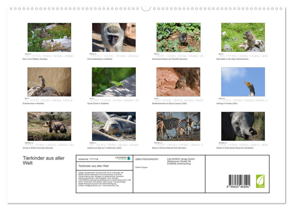 Tierkinder aus aller Welt (CALVENDO Premium Wandkalender 2025)