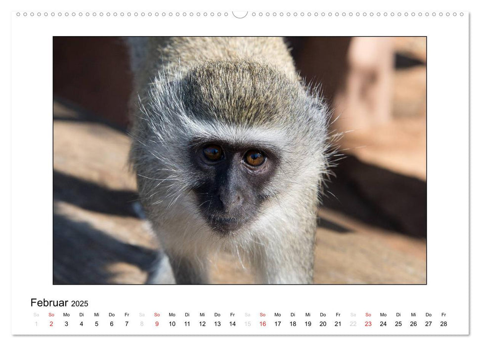 Tierkinder aus aller Welt (CALVENDO Premium Wandkalender 2025)