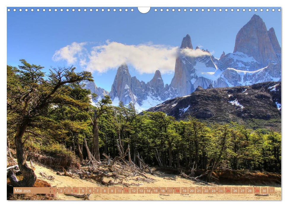 Wildes Patagonien - Abenteuer am Ende der Welt (CALVENDO Wandkalender 2025)