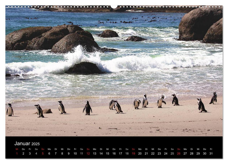 Abenteuer Afrika (CALVENDO Premium Wandkalender 2025)