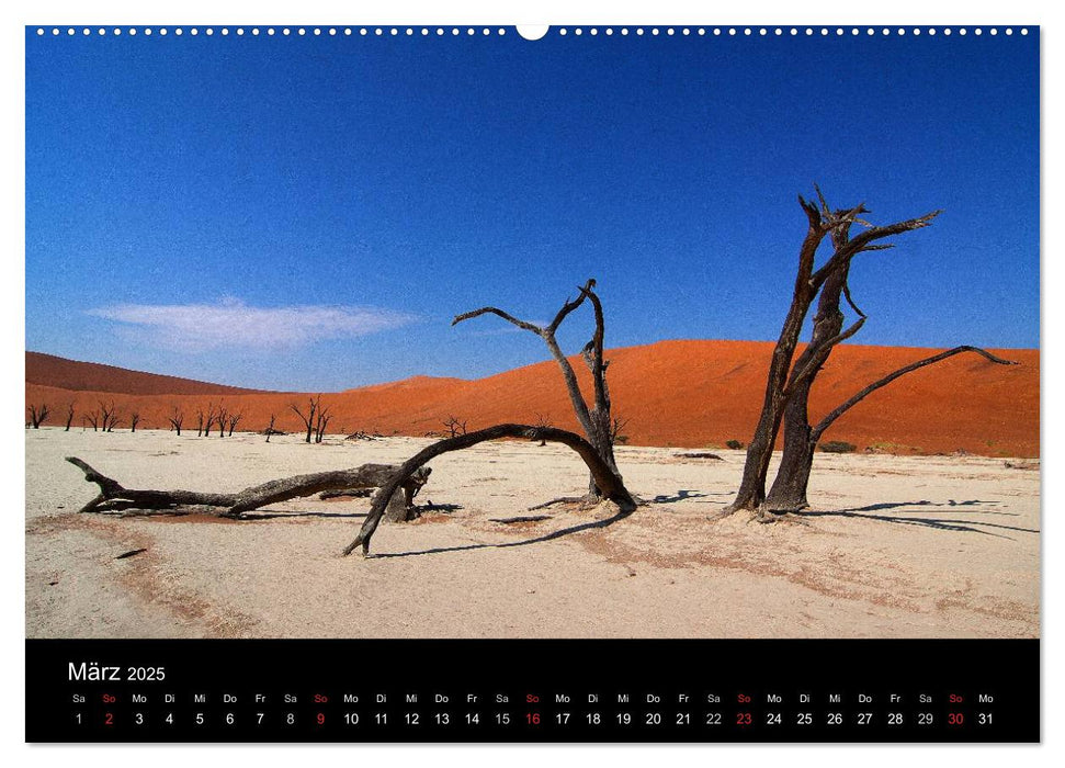 Abenteuer Afrika (CALVENDO Premium Wandkalender 2025)