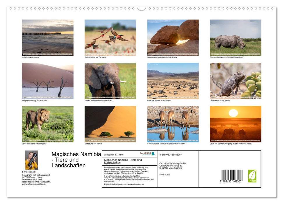 Magisches Namibia - Tiere und Landschaften (CALVENDO Premium Wandkalender 2025)