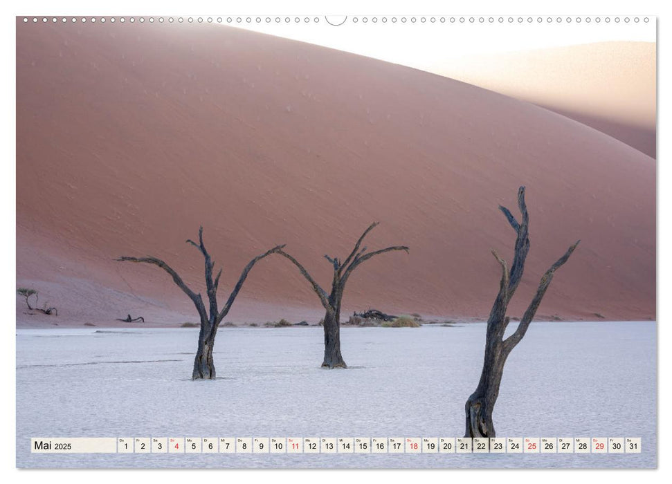 Magisches Namibia - Tiere und Landschaften (CALVENDO Premium Wandkalender 2025)