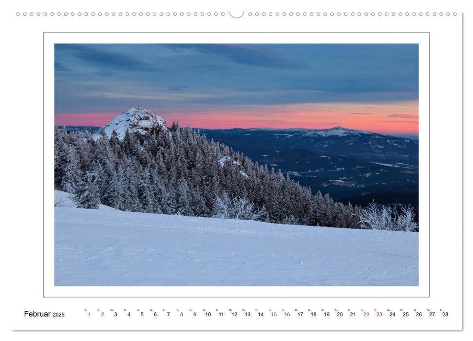 Rund um den Großen Arber (CALVENDO Wandkalender 2025)