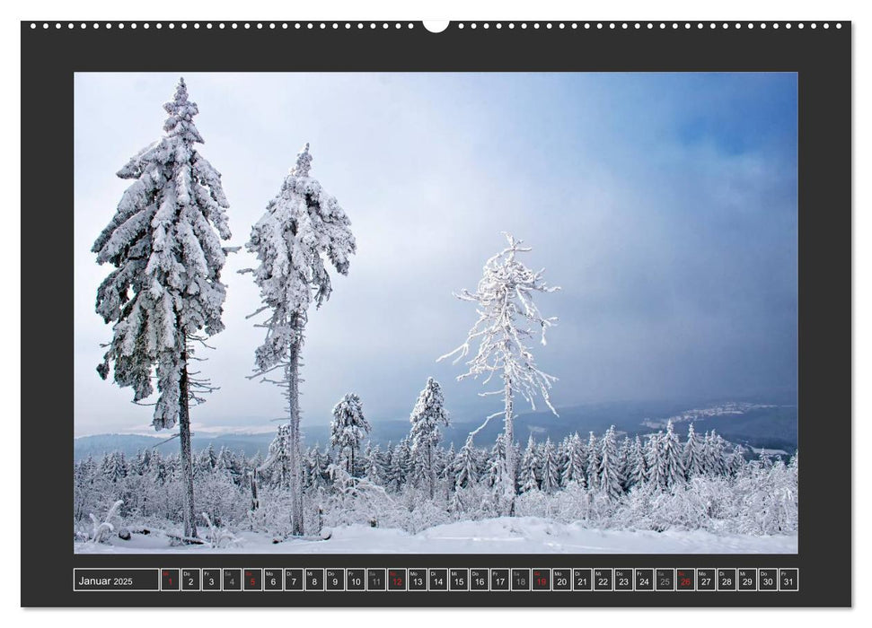 Zauberhafte Natur im Taunus (CALVENDO Premium Wandkalender 2025)