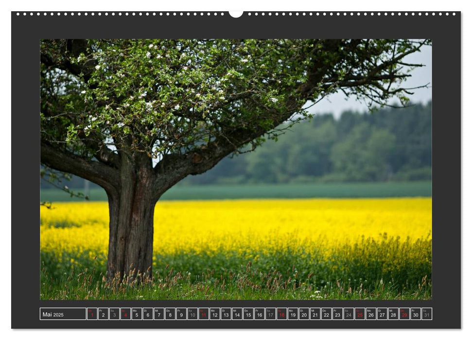 Zauberhafte Natur im Taunus (CALVENDO Premium Wandkalender 2025)