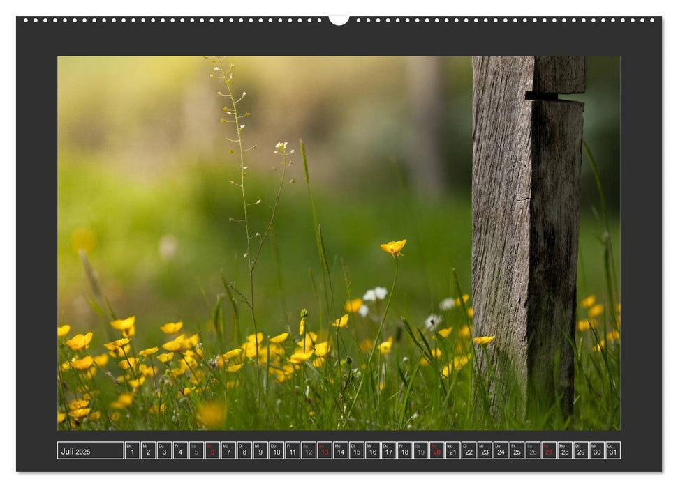 Zauberhafte Natur im Taunus (CALVENDO Premium Wandkalender 2025)