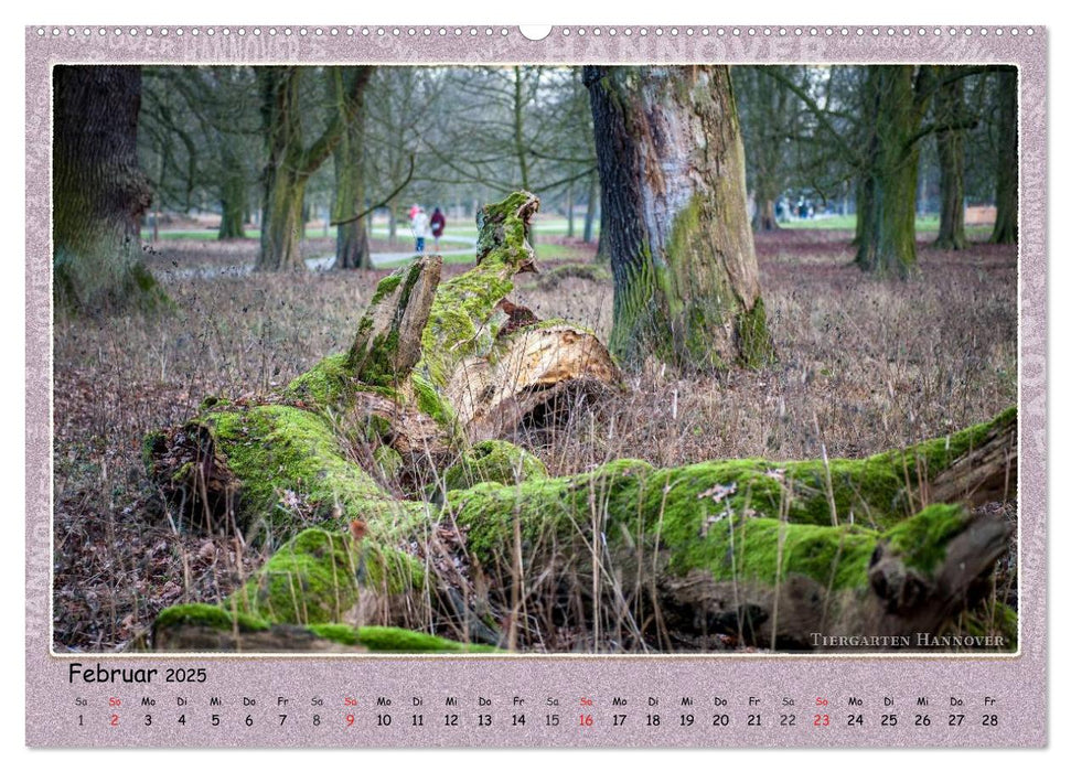 Man trifft sich in Hannover (CALVENDO Wandkalender 2025)