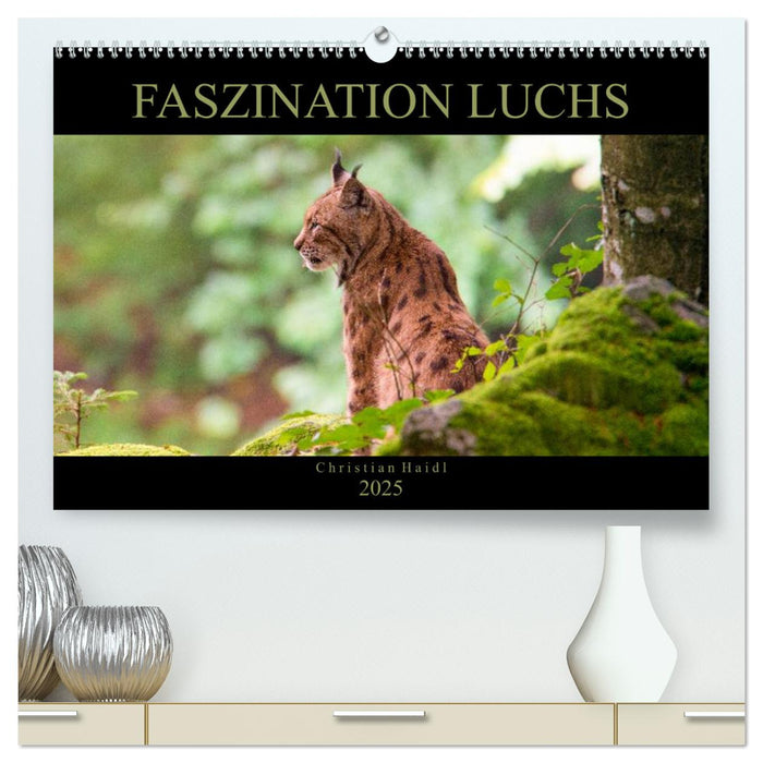 Faszination Luchs (CALVENDO Premium Wandkalender 2025)