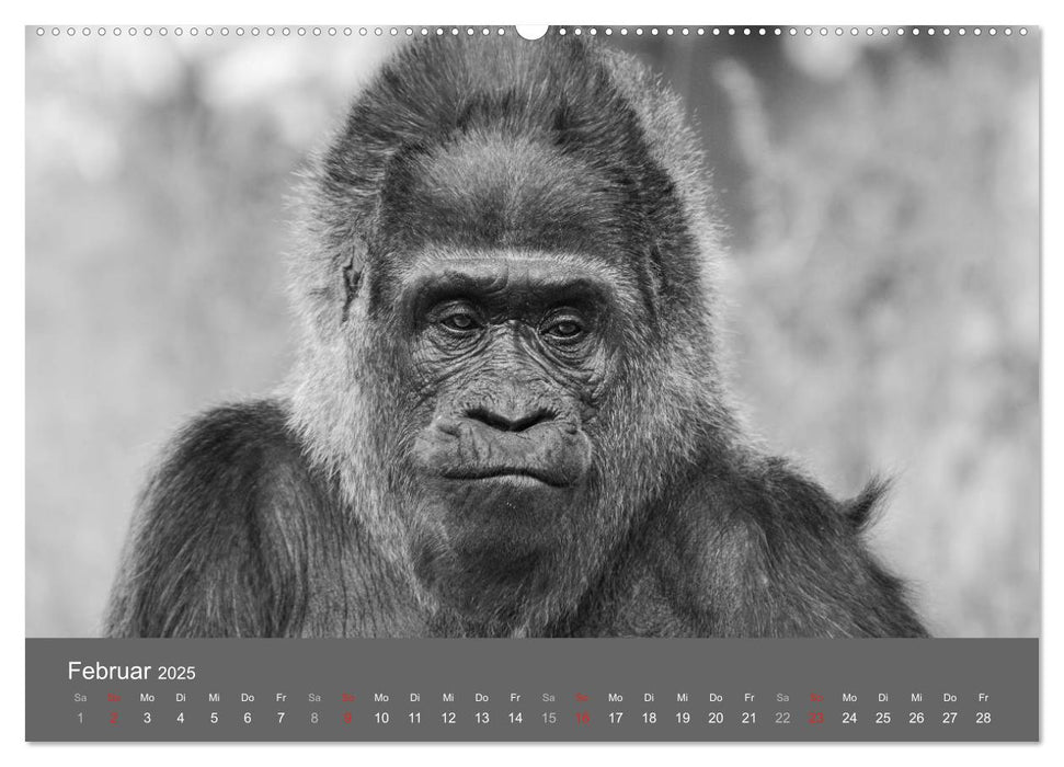 Tierische Augenblicke in Schwarz-Weiß (CALVENDO Premium Wandkalender 2025)